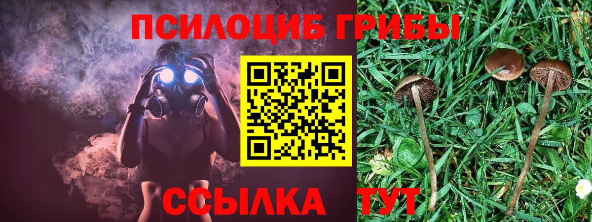 Галлюциногенные грибы MAGIC MUSHROOMS Протвино