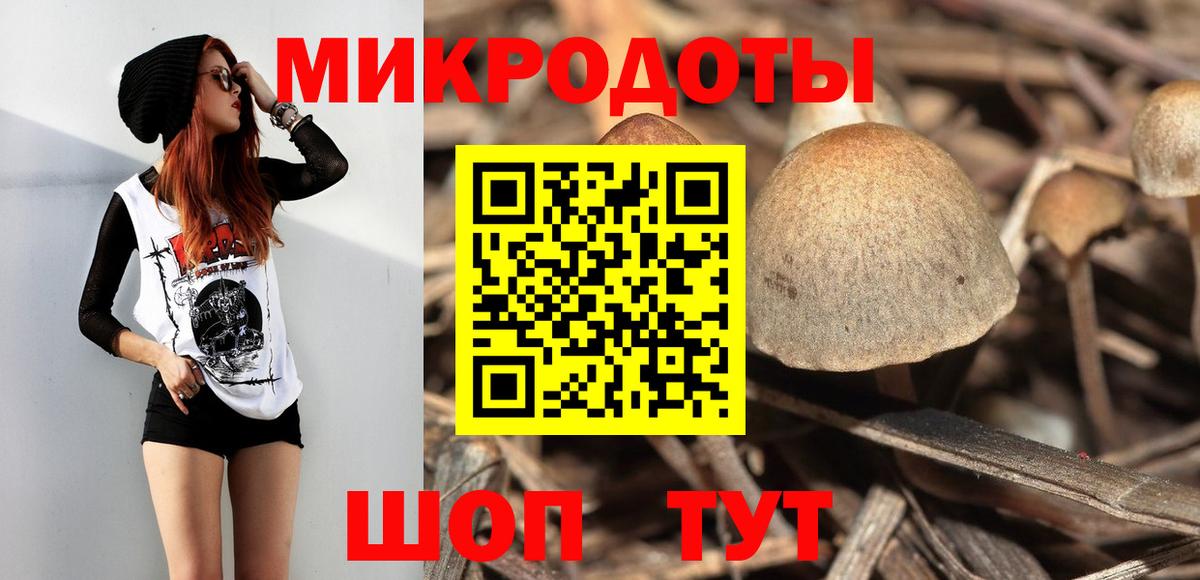 купить  сайты  Псилоцибиновые грибы Psilocybine cubensis  Вход с VPN  Протвино 